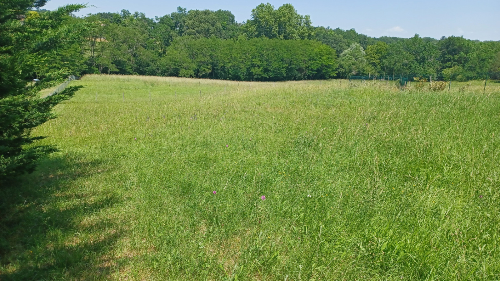 Terrain constructible de 500m2 à Le Taillan-Médoc