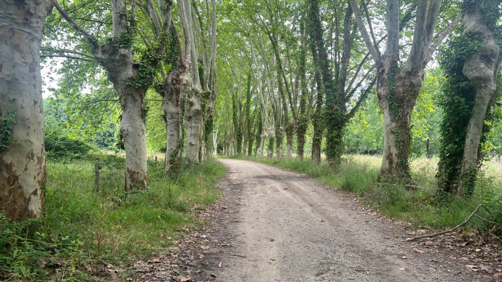 Terrain constructible de 527m2 à Martillac