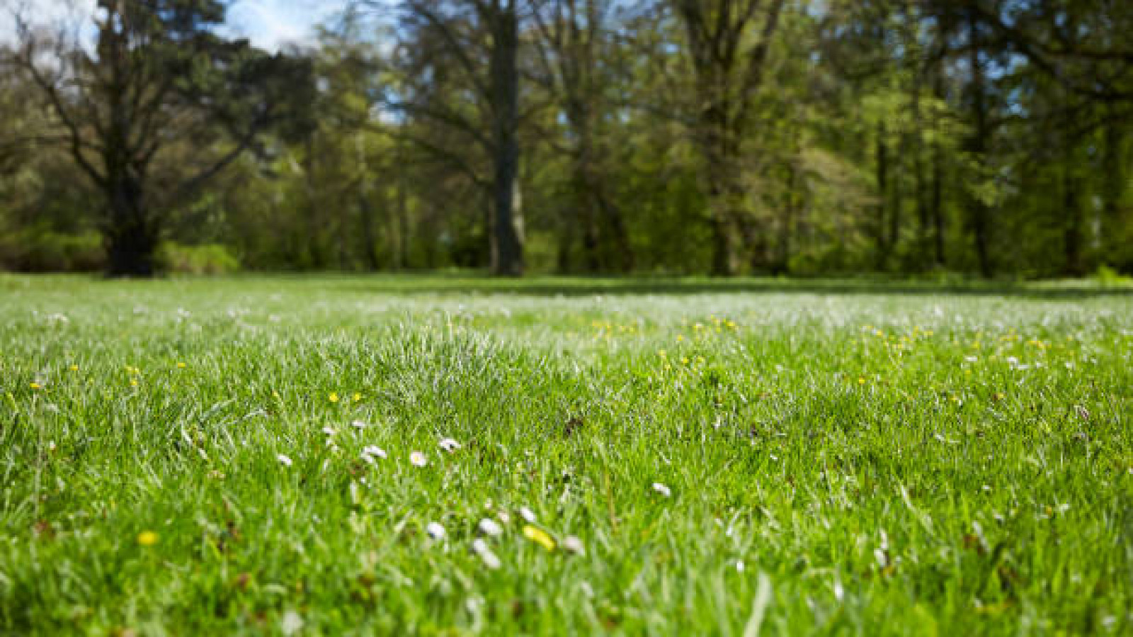 Terrain constructible de 1010m2 à Saint-Denis-de-Pile