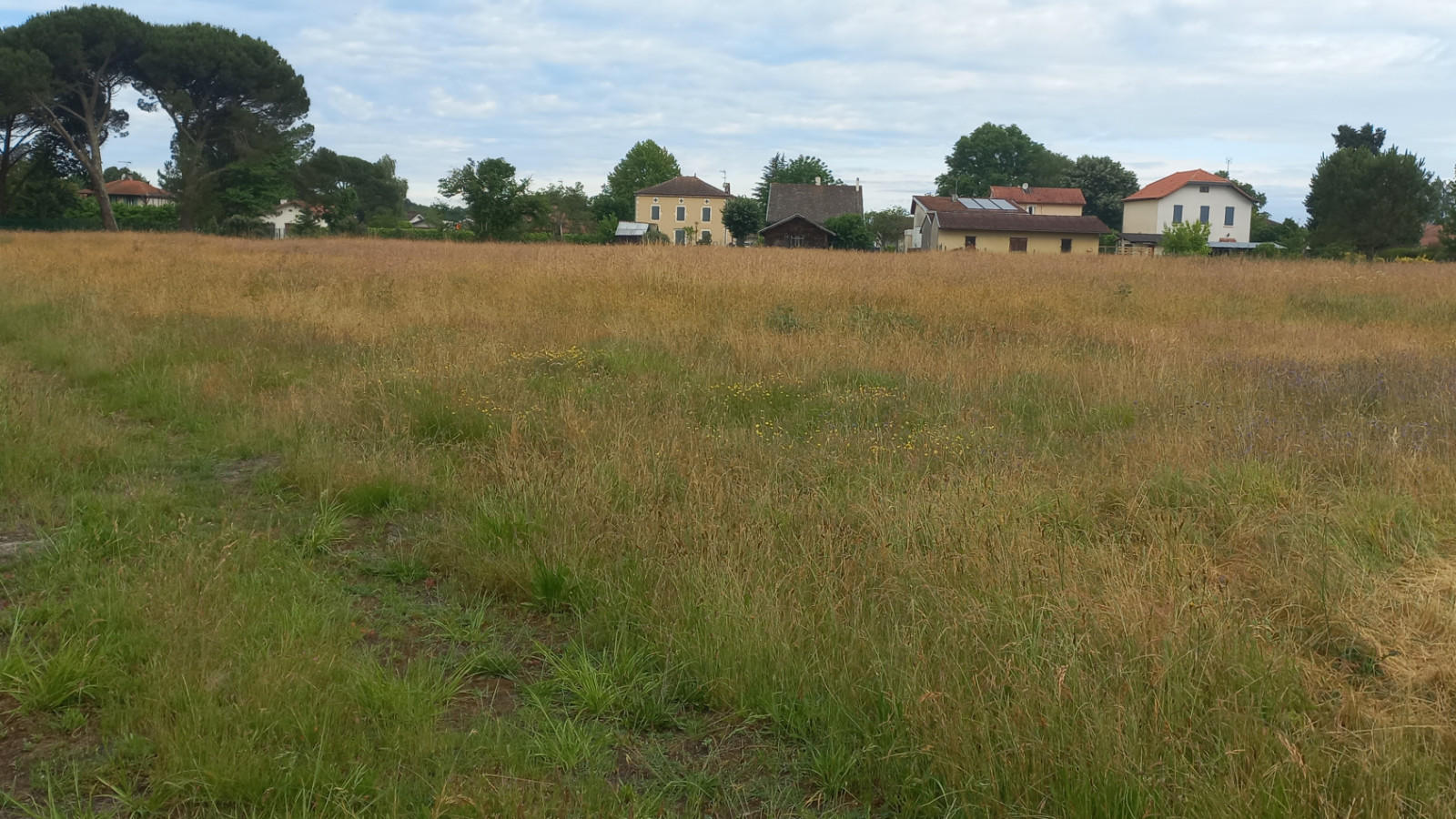 Terrain constructible de 598m2 à Rion-des-Landes