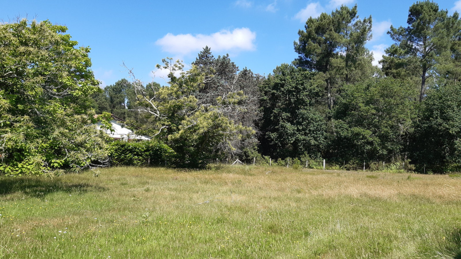 Terrain constructible de 1569m2 à Le Temple