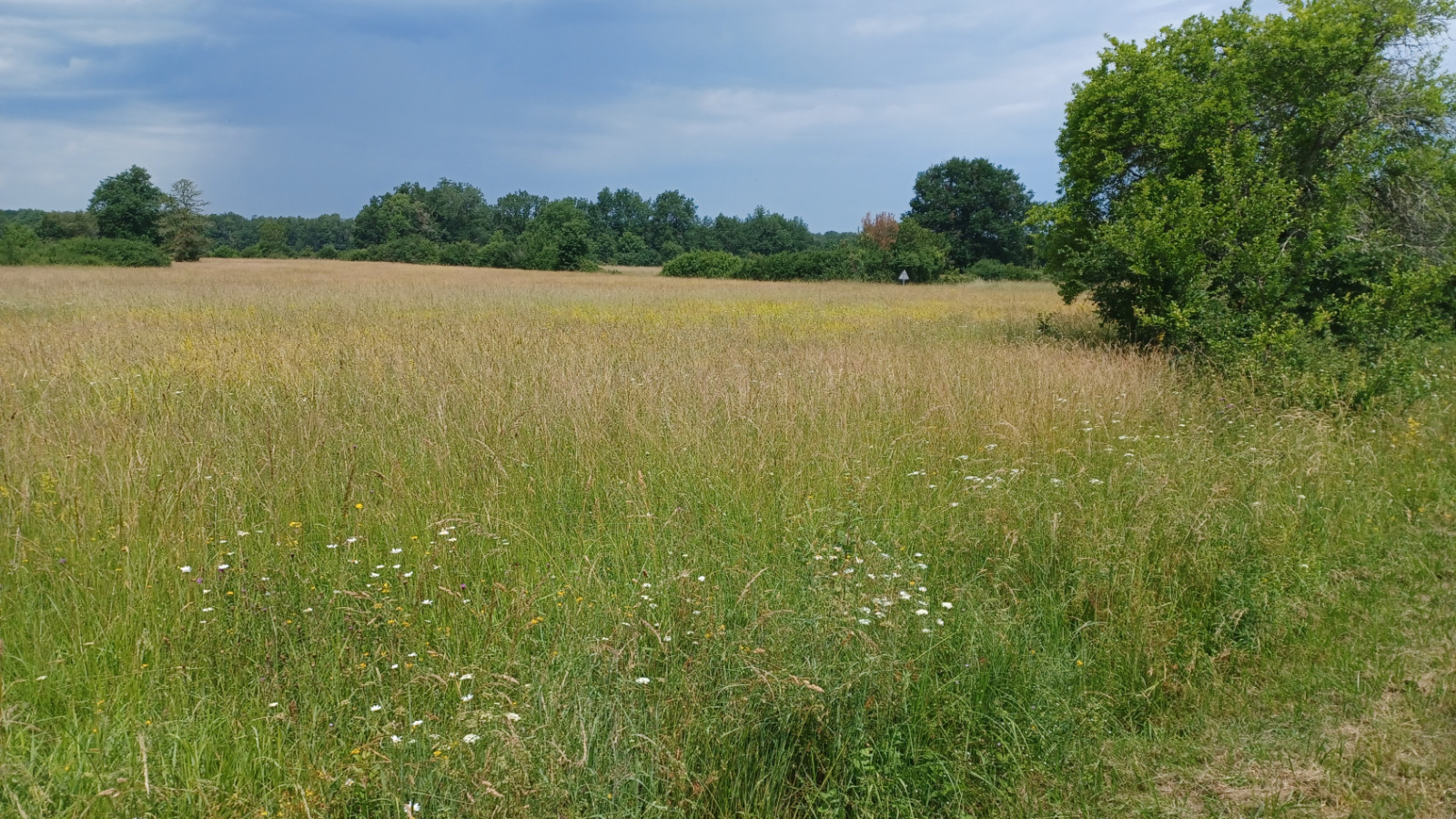 Terrain constructible de 1800m2 à Coutras