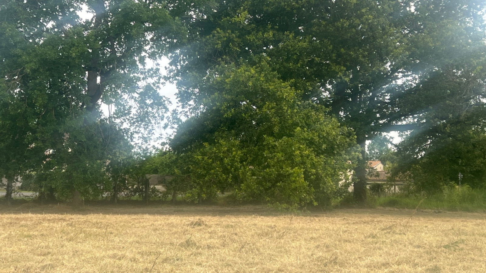 Terrain constructible de 481m2 à La Lande-de-Fronsac