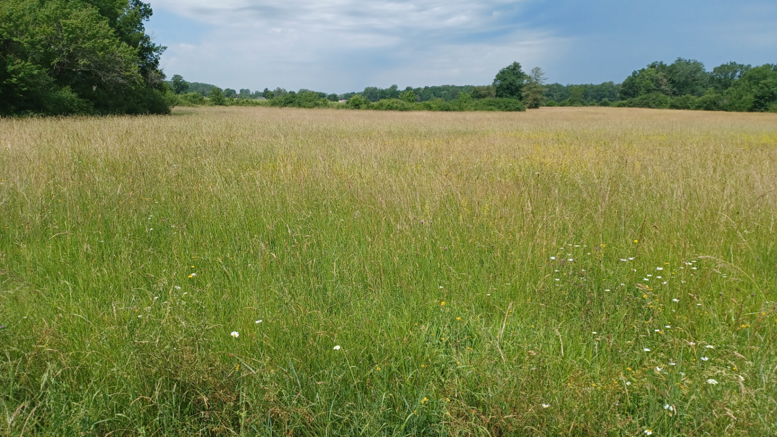 Terrain constructible de 1000m2 à Saint-Loubès