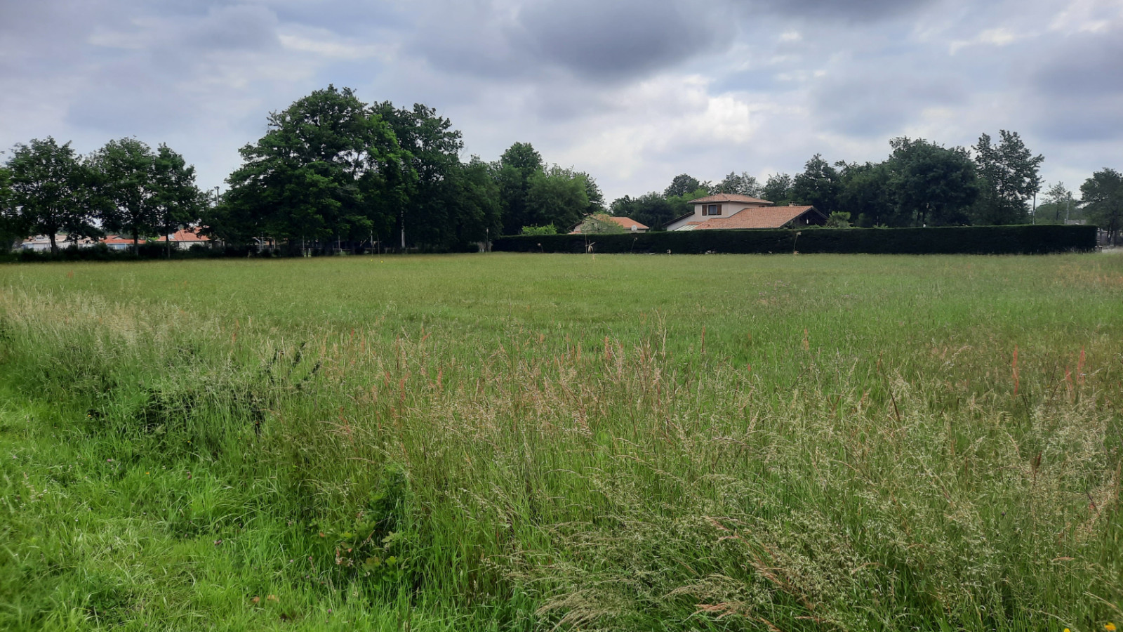 Terrain constructible de 1569m2 à Le Temple