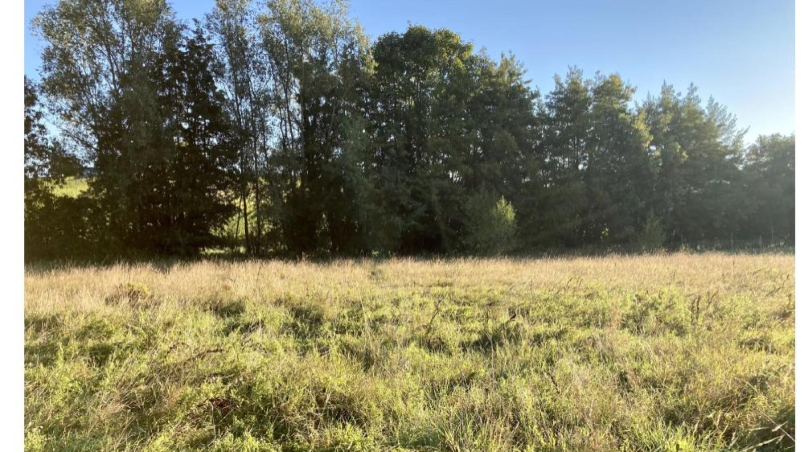 Terrain constructible de 884m2 à Bourg