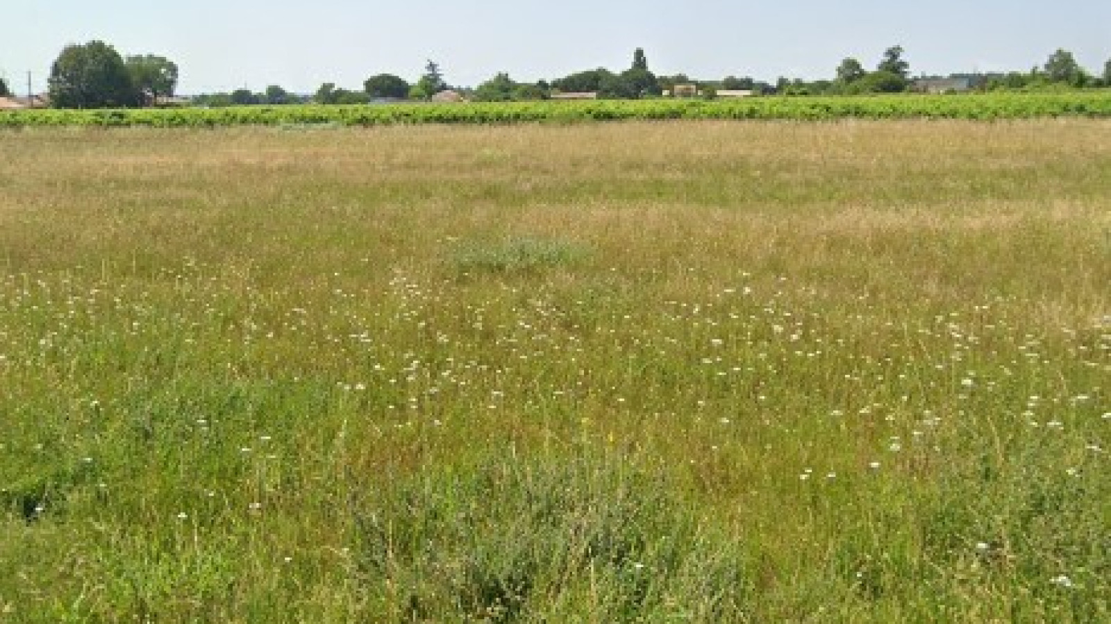 Terrain constructible de 830m2 à Les Billaux