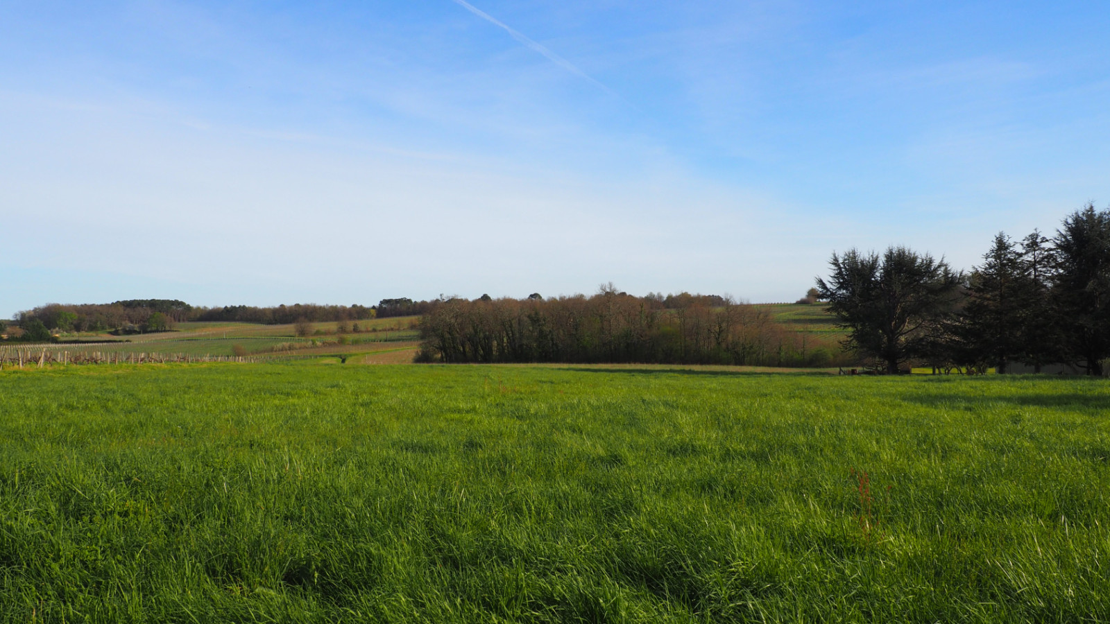 Terrain constructible de 522m2 à Libourne